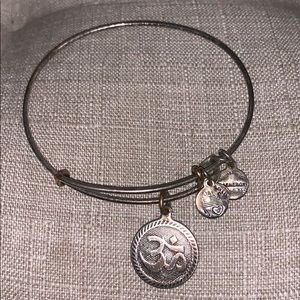 Alex and Ani charm bracelet